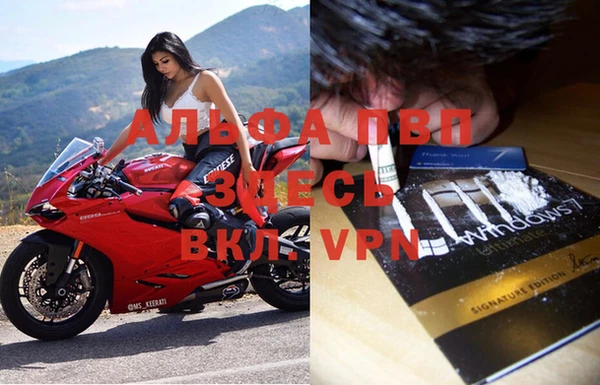 индика Алексин
