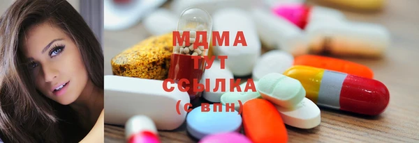 индика Алексин