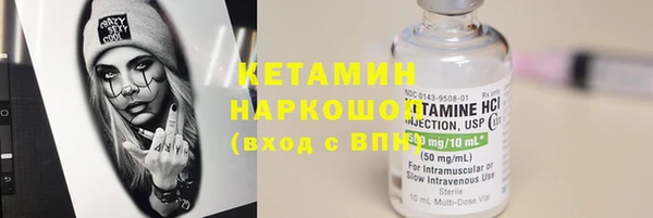 индика Алексин