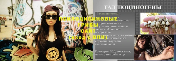 индика Алексин
