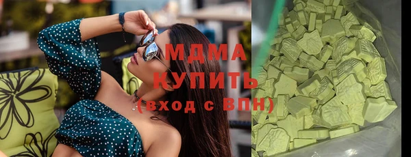 индика Алексин