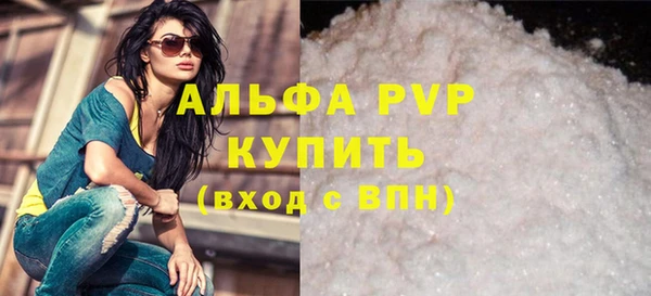 индика Алексин