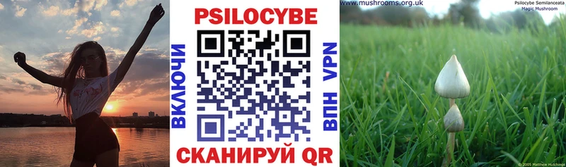 хочу   Топки  OMG маркетплейс  Псилоцибиновые грибы Psilocybine cubensis 